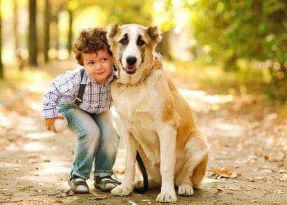 little cute boy playing with his dog