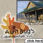 Aunt Bugs