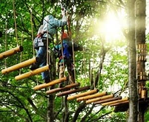 Adventure ropes course