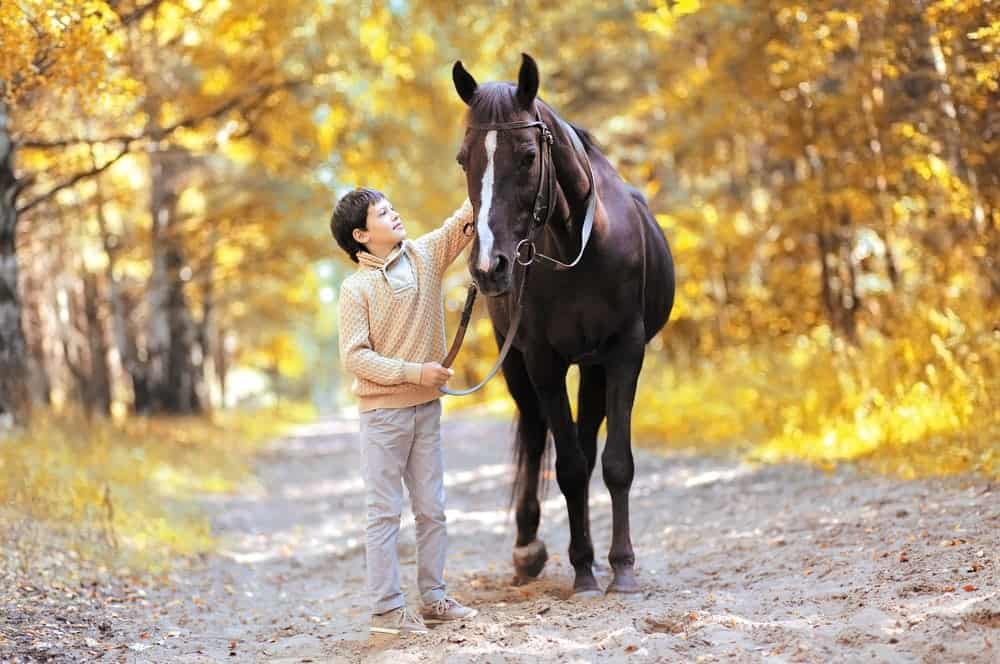 Boy with a horse in autumn