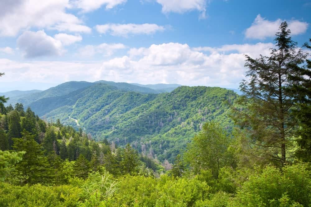 Summer view of the Smoky Mountains greenery