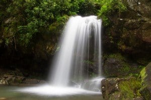 Grotto Falls on Smoky Mountain Hiking Trail