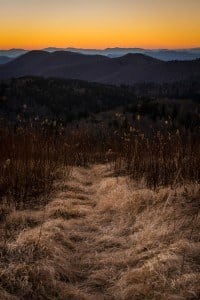 Middle Prong Hiking Trail in the Smoky Mountains