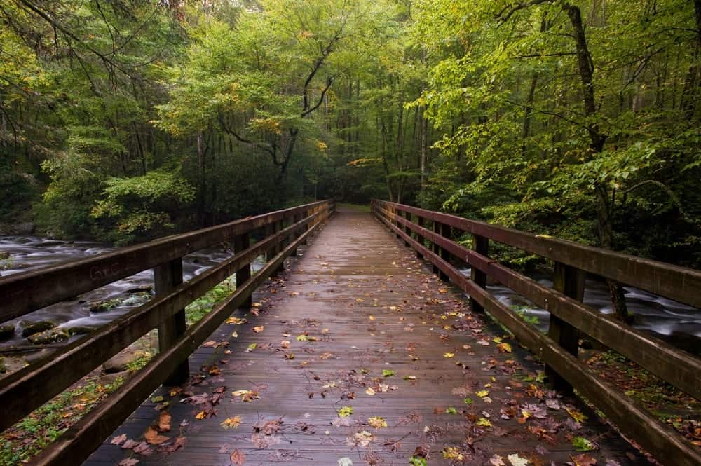 Bridge on Smoky Mountain hiking trail