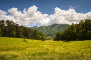 A stunning spring day in Cades Cove in the Smoky Mountains.