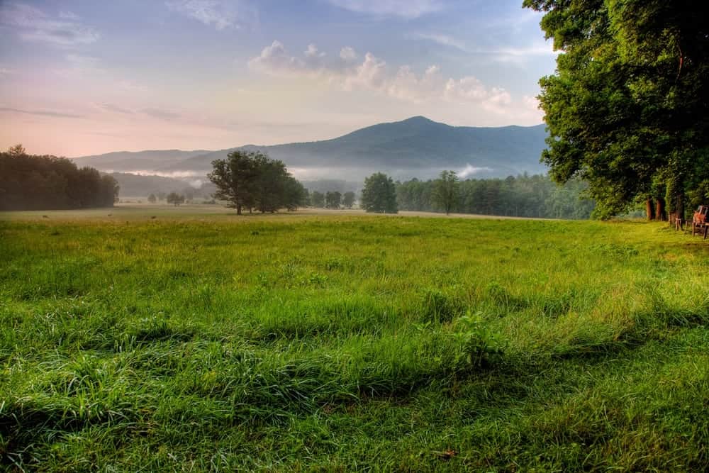 Top 5 Cades Cove Hiking Trails for Your Smoky Mountain Vacation