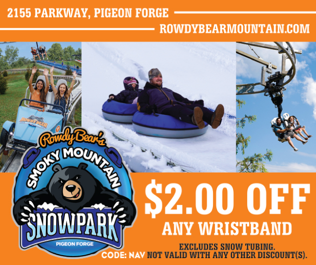 Rowdy Bear Mountain Adventure Park coupon
